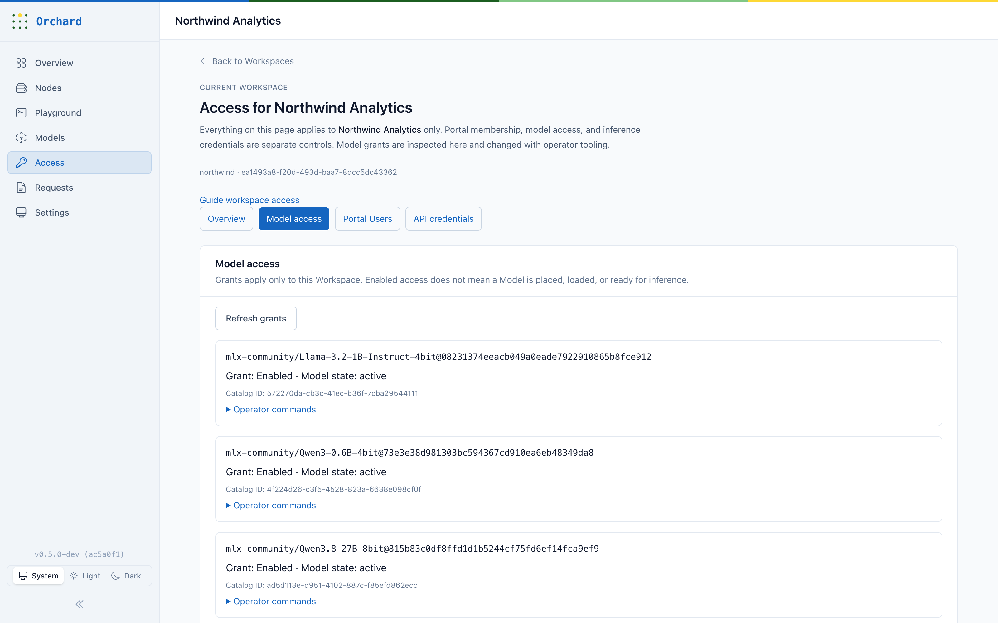 Orchard Console Workspace model access showing explicit model grants